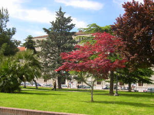 Addio alla Villa dei Cannoni